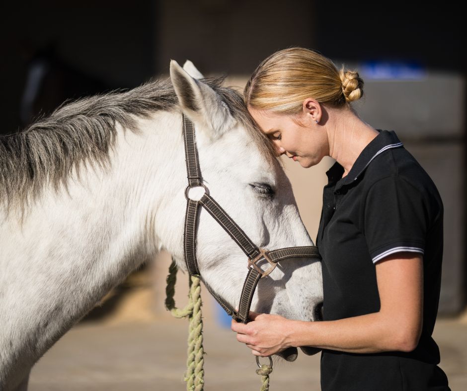 lovas_allatorvos_drtornyi