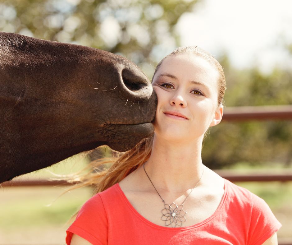 kutyatartas felelos allattartas